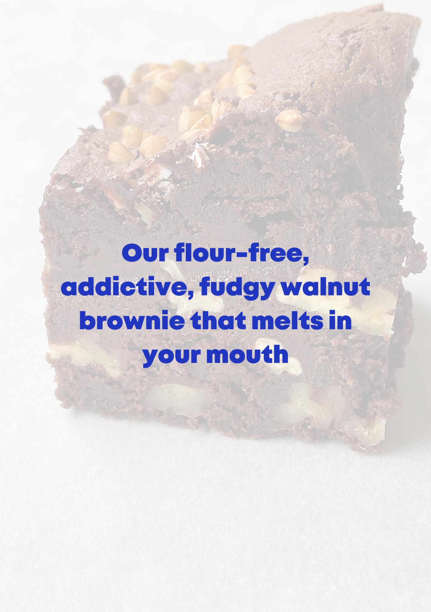 Fudgy Buckwheat Walnut Brownie