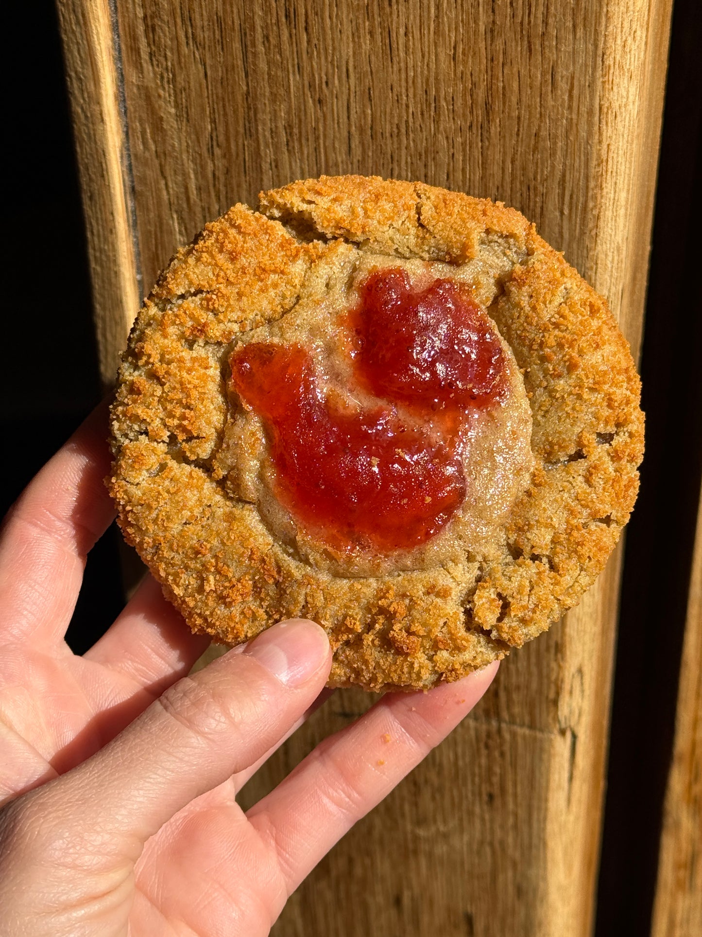 PBJ Toast Crumb