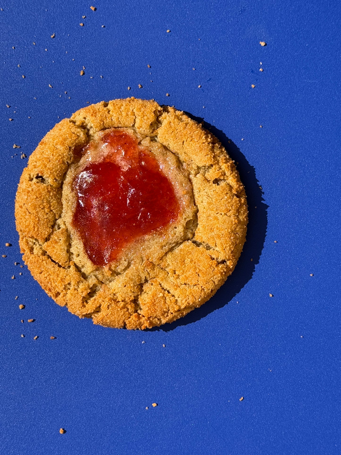 PBJ Toast Crumb